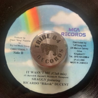 Shaggy - It Wasn't Me picture 2
