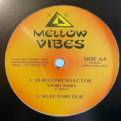 Di Namic, Vivian Jones - Hungry Song / 30 Second Selector picture 2