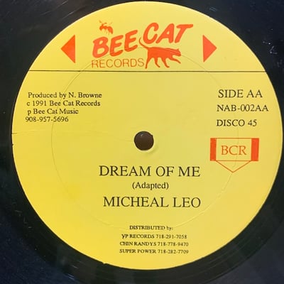 Lecturer, Michael Leo - Yu Should A Shame / Dream Of Me picture 2