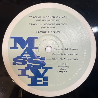 Trevor Hartley - Hooked On You picture 2