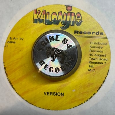 Sizzla - No Pain picture 2
