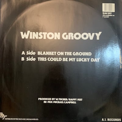 Winston Groovy - Blanket On The Ground picture 2