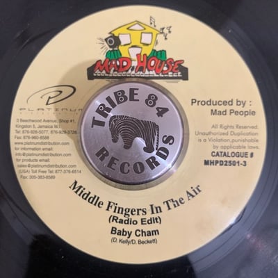 Baby Cham - Middle Fingers In The Air picture 2