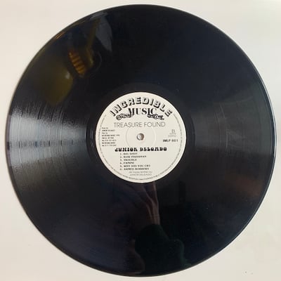 Junior Delgado - Treasure Found picture 4