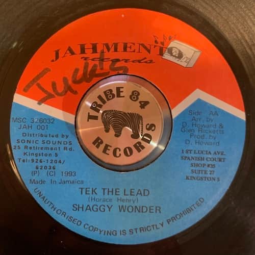 Shaggy Wonder – Tek The Lead