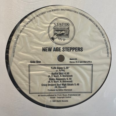New Age Steppers - The New Age Steppers picture 3
