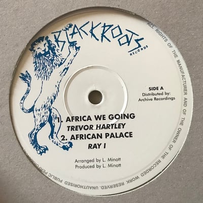 Trevor Hartley - Africa We Going picture 2