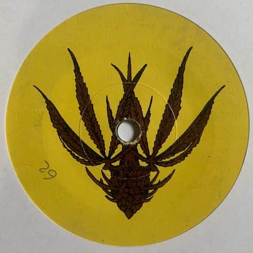 The Cimarons – Mother Earth / National Bird