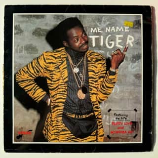 Tiger – Me Name Tiger