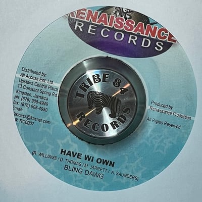 Ward 21, Bling Dawg - Run Di Business / Have Wi Own picture 2
