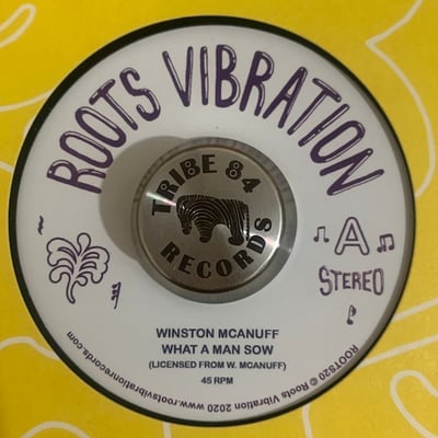 Winston McAnuff - What Man Sow picture 3