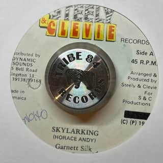 Garnett Silk – Skylarking