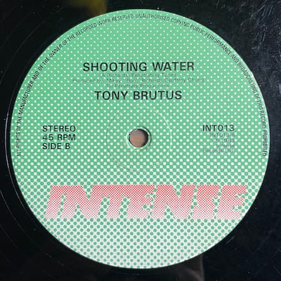 Tony Brutus - Water Pistol picture 2