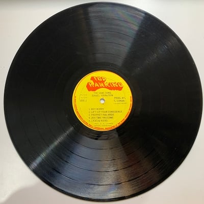 Israel Vibration - The Same Song picture 4