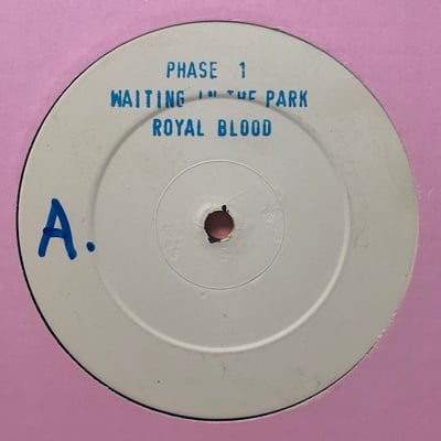 Royal Blood - Waiting In The Park picture 2