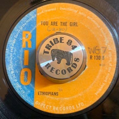 The Ethiopians - Train To Skaville picture 2