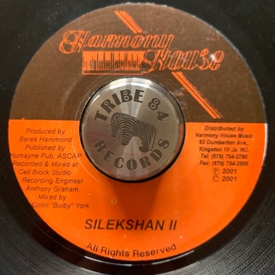 Sizzla - Done Nothing For Us picture 2