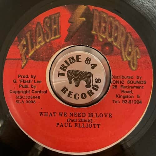 Paul Elliot – What We Need Is Love