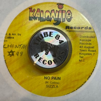 Sizzla - No Painpicture
