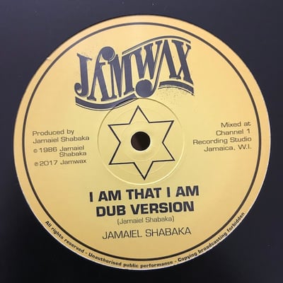 Jamaiel Shabaka - I Am That I Am picture 2