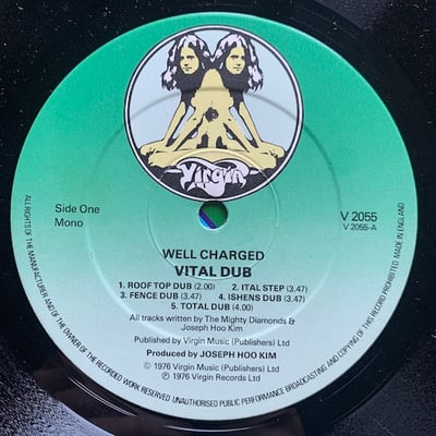 Well Charged - Vital Dub picture 4