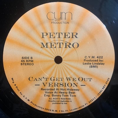 Peter Metro - Can't Get We Out picture 2
