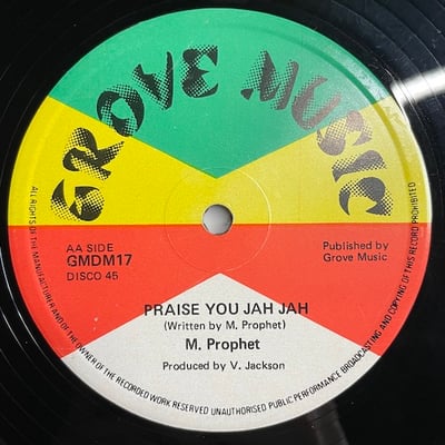 Michael Prophet - Turn Me Loose / Praise You Jah Jah picture 2