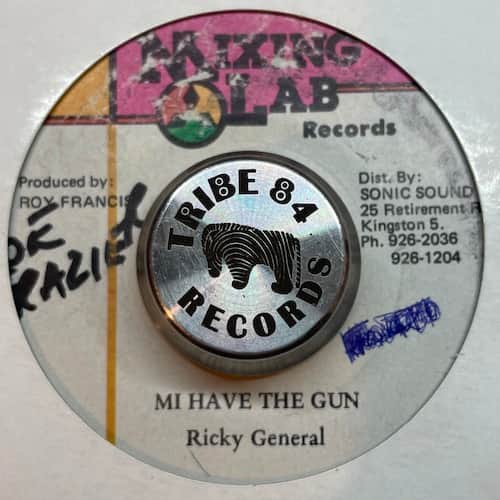 Ricky General – Mi Have The Gun