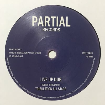 Delroy Dyer - Live Up picture 2
