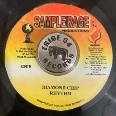 Capleton, king shano, David House - There For You picture 2