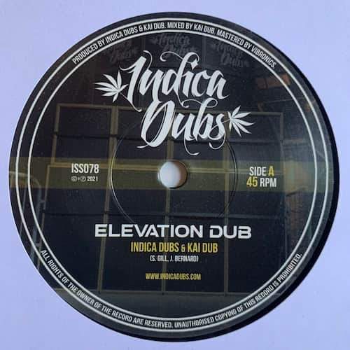 Indica Dubs, Kai Dub – Elevation Dub