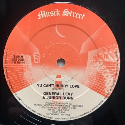 General Levy, Junior Dan - Yu Can't Hurry Love picture 2
