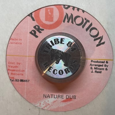 Junior Reid - Human Nature picture 2