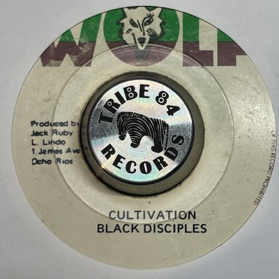 Burning Spear - Man In The Hills picture 2