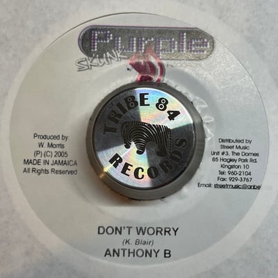 Teflon, Anthony B - Get Up And Strive / Don't Worry picture 2