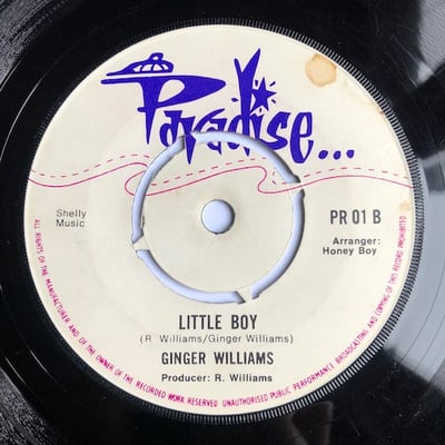 Ginger Williams - I Can't Resist Your Tenderness picture 2