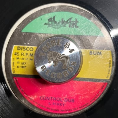 Michael Campbell, Lee Perry - Dread At The Control picture 2