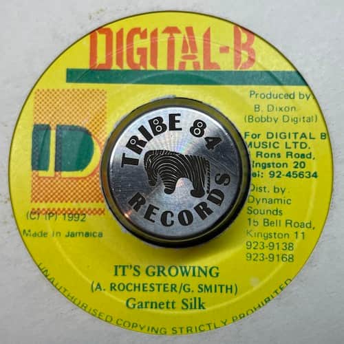 Garnett Silk – It's Growing