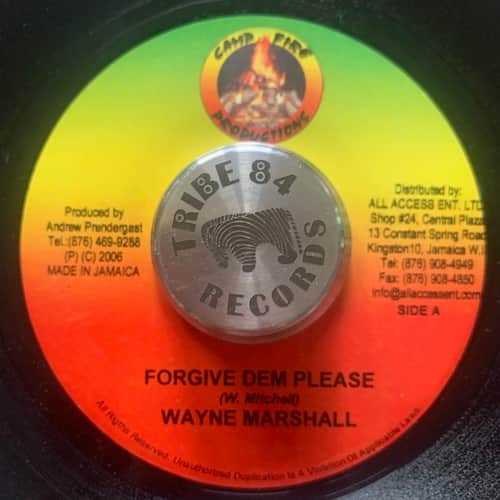 Wayne Marshall – Forgive Dem Please
