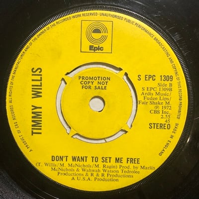 Timmy Willis - Give Me A Little Sign picture 2