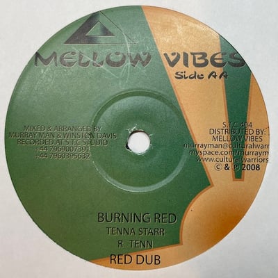 Andy Williams, Tenna Star - Stop You Talking / Burning Red picture 2