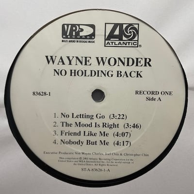 Wayne Wonder - No Holding Back picture 3