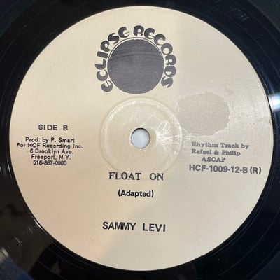Sammy Levi - Trouble Again / Float On picture 2