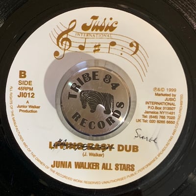 Junia Walker - Summertime / Living Easy Dub picture 2