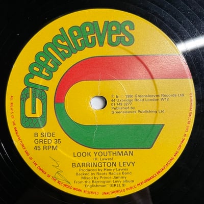 Barrington Levy - Mary Long Tongue picture 2
