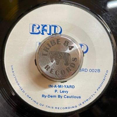 Papa Levi - Mi God Mi King / In-A-Mi-Yard picture 2