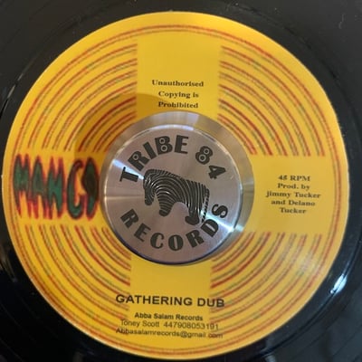 Delano Tucker - Gather Isralites picture 2