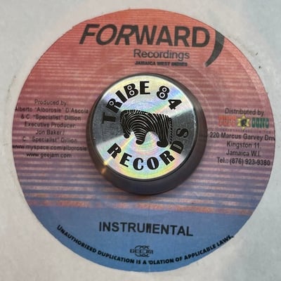 Alborosie, Michael Rose - Waan The Ting picture 2