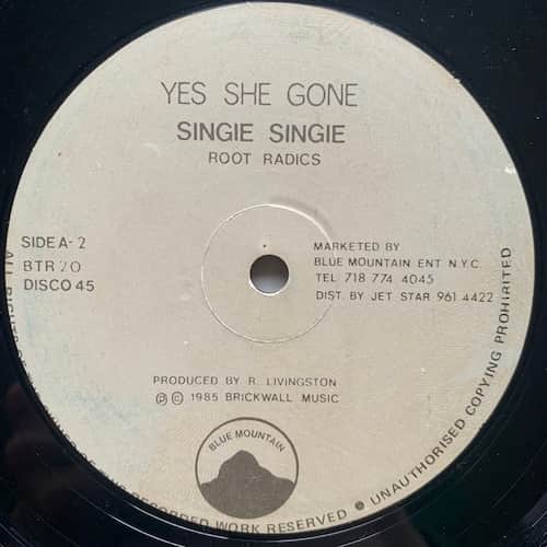 Singie Singie, The Roots Radics – Yes She Gone