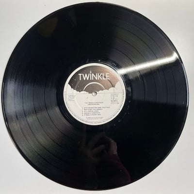 Twinkle Brothers - Underground picture 3